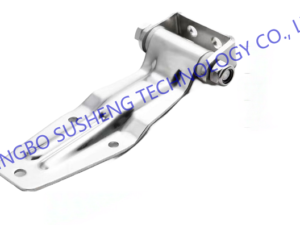 kidney beans organic